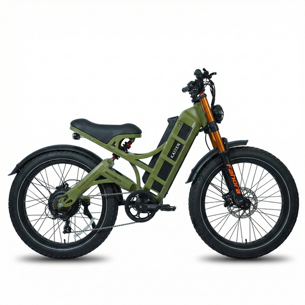 EAHORA Romeo Pro II Dual Motor 4000 W - 52V 70Ah Long Range Electric Bike