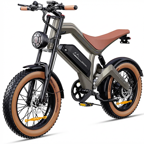 CHALOBOR M20 Electric Moped-Style E-Bike – 750W 48V Long Range Fat Tire