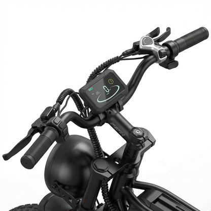 RIDSTAR Q20 Pro Dual Motor Electric Bike – 2000W AWD 52V 40Ah