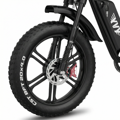 RIDSTAR Q20 Pro Dual Motor Electric Bike – 2000W AWD 52V 40Ah