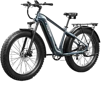 STANDARD BUDGET FAT BIKE