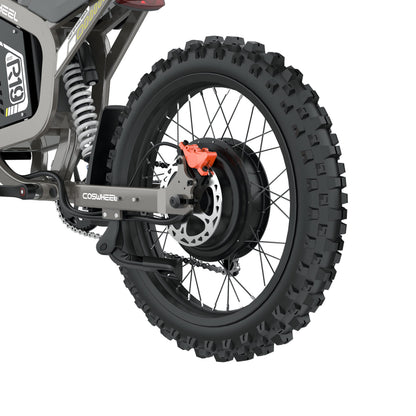 COSWHEEL R19 - rear motor and wheel detail