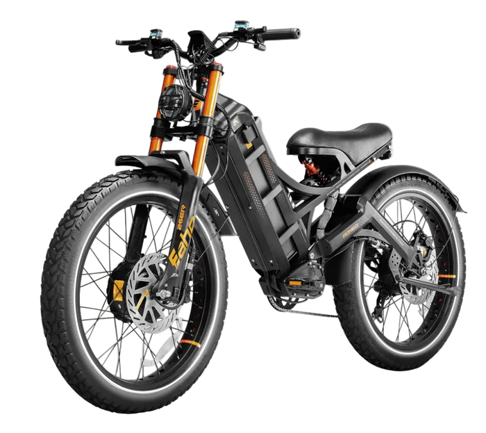 EAHORA Romeo Pro II Dual Motor 4000 W - 52V 70Ah Long Range Electric Bike