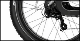 Back Tire