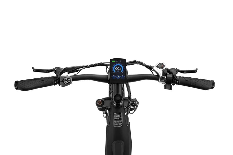 FREEDARE Saiga Electric Fat Tire E-Bike – 750W 48V Smart Long Range