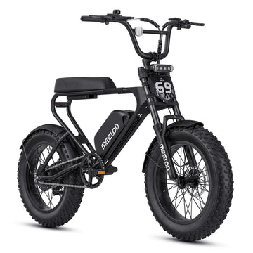 MEELOD DK200 SE Fat Tire Electric Bike – 48V 1000W Peak 30 MPH