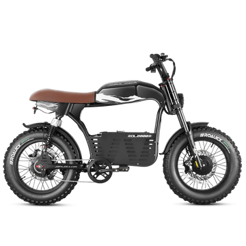 EAHORA DL2000 Dual Motor 2000W – 52V 30Ah Fat-Tire E-Bike