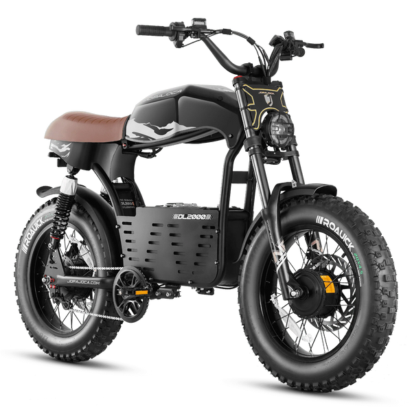 EAHORA DL2000 Doble Motor 2000W – Bicicleta Eléctrica de Neumáticos Anchos de 52V 30Ah