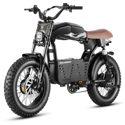 EAHORA DL2000 Dual Motor 2000W – 52V 30Ah Fat-Tire E-Bike