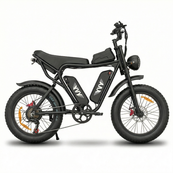 RIDSTAR Q20 Pro Dual Motor Electric Bike – 2000W AWD 52V 40Ah