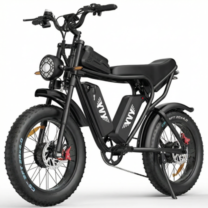 RIDSTAR Q20 Pro Dual Motor Electric Bike – 2000W AWD 52V 40Ah