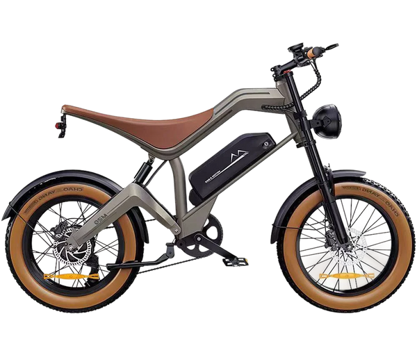 BROWN M20 Electric Moped-Style E-Bike – 750W 48V Long Range Fat Tire