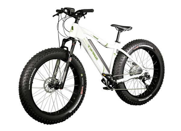 STANDARD FAT TIRE BIKE