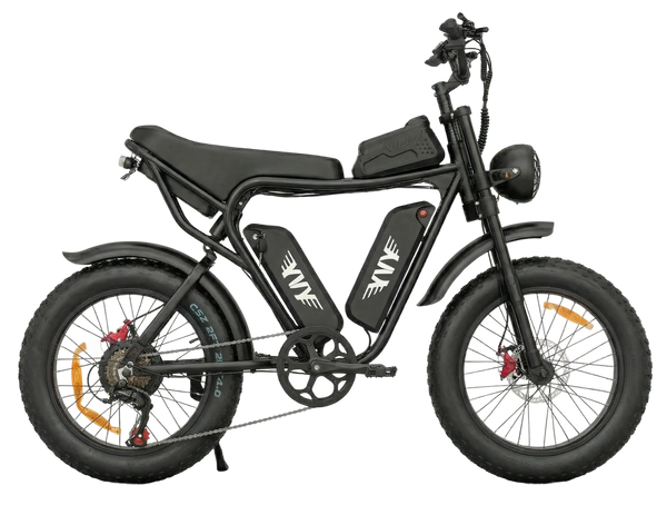 RIDSTAR Q20 PRO – AWD ENDURANCE