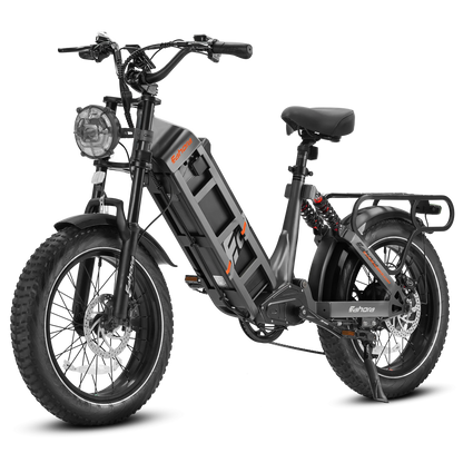 EAHORA Juliet 1000W – 48V 60Ah Long Range Fat-Tire E-Bike