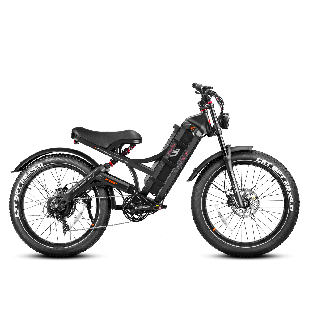 EAHORA Romeo Pro electric bike, black