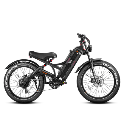 EAHORA Romeo Pro electric bike, black