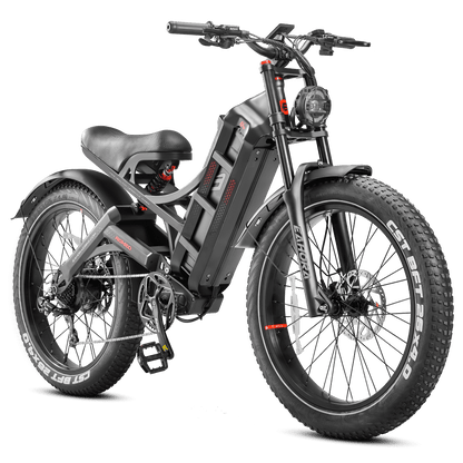 EAHORA Romeo Pro electric bike, black