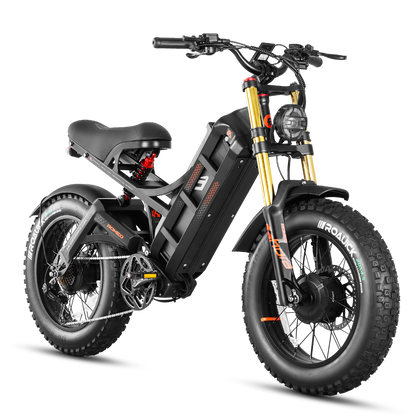 EAHORA Romeo II dual motor electric bike, black