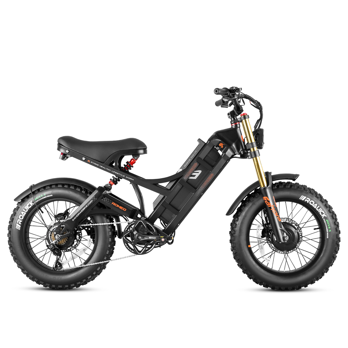 EAHORA Romeo II dual motor electric bike, black