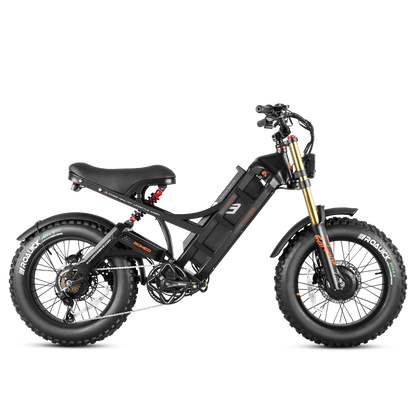 EAHORA Romeo II dual motor electric bike, black