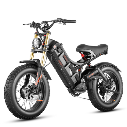 EAHORA Romeo II dual motor electric bike, black