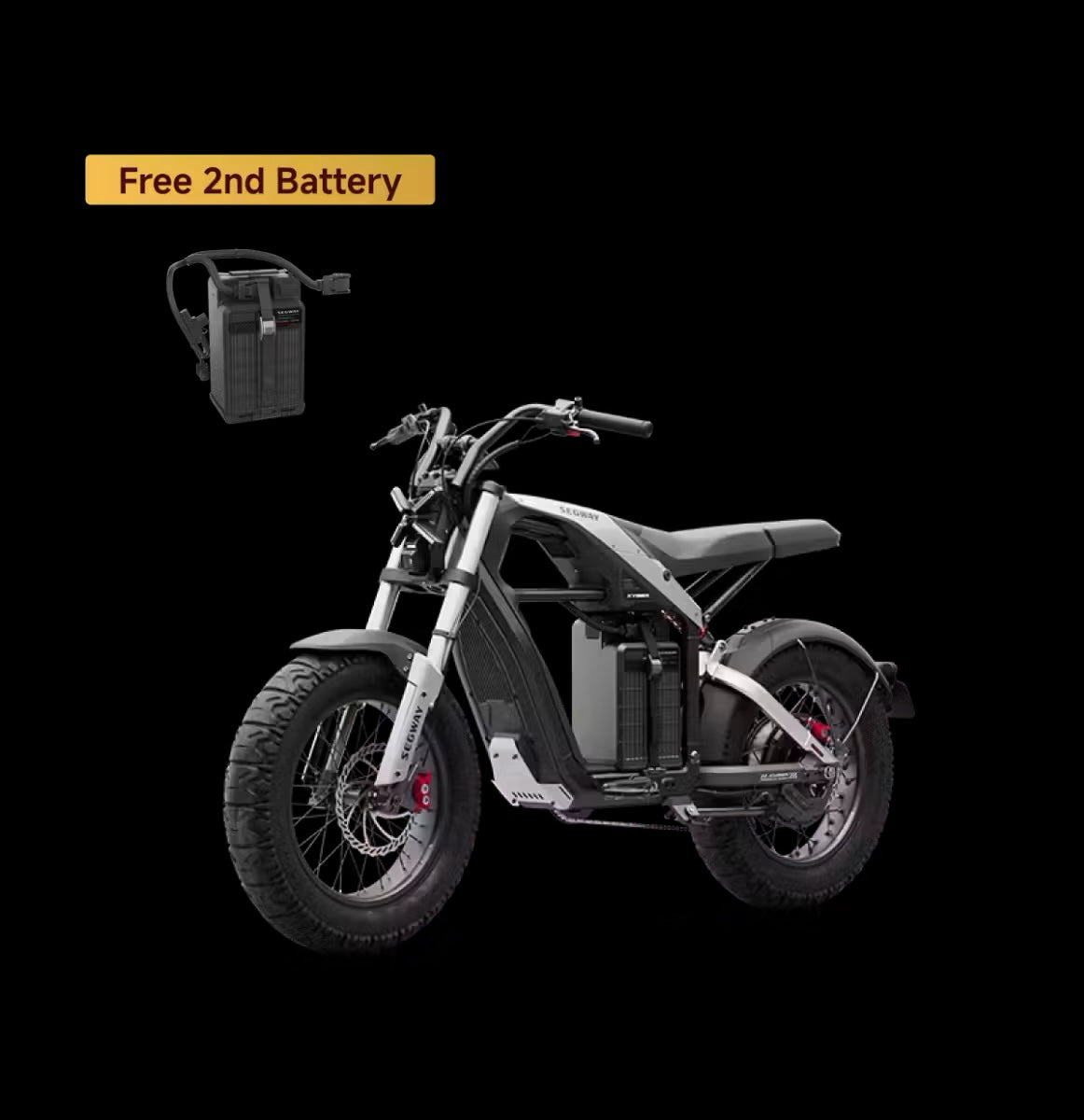SEGWAY Xyber battery